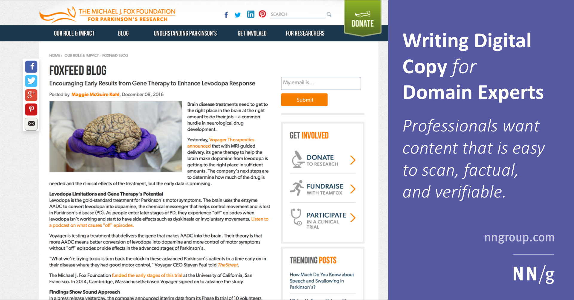 Writing Digital Copy for Domain Experts