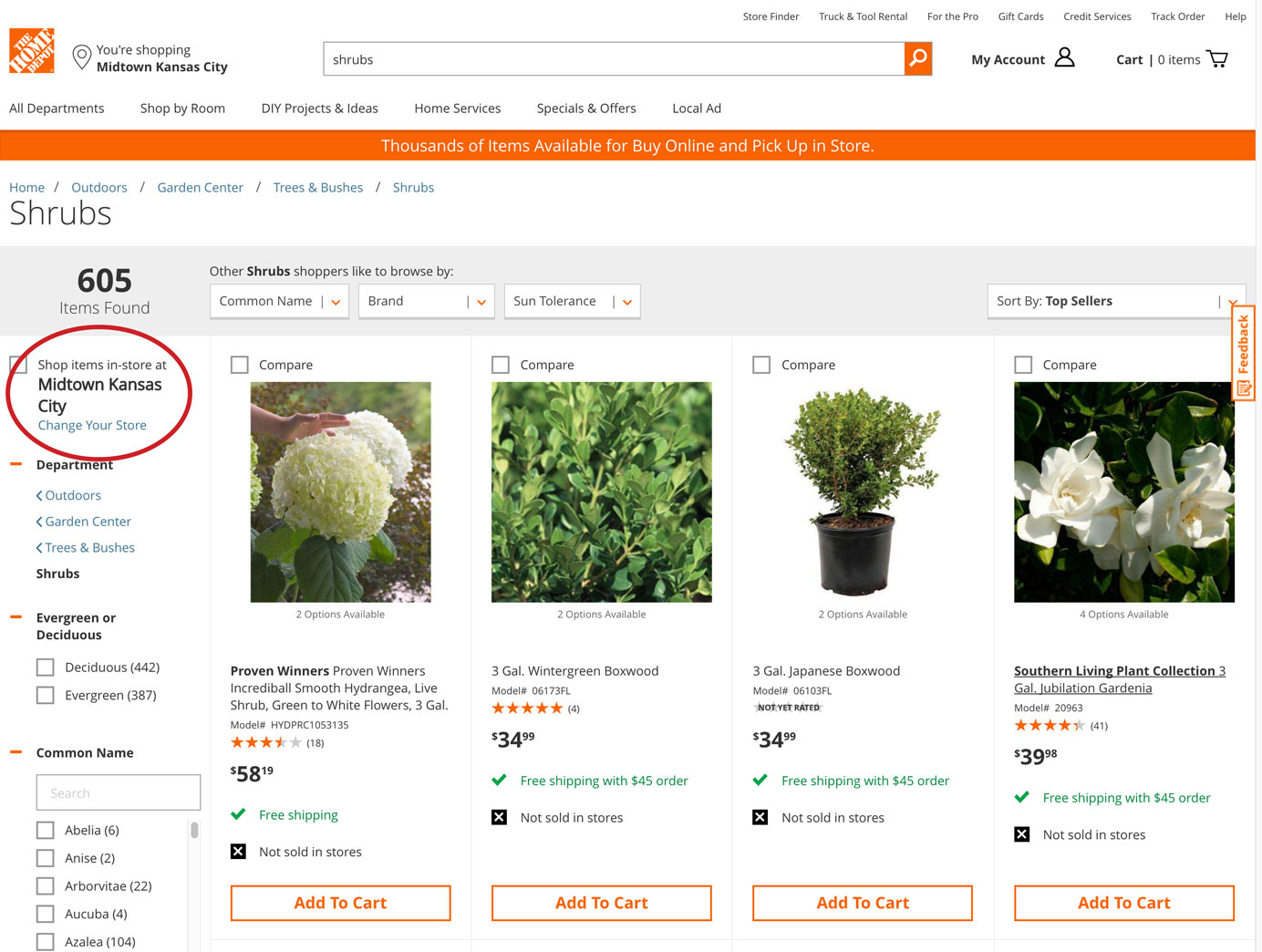 Home Depot website: A product-listing page displayed a store location availability filter.