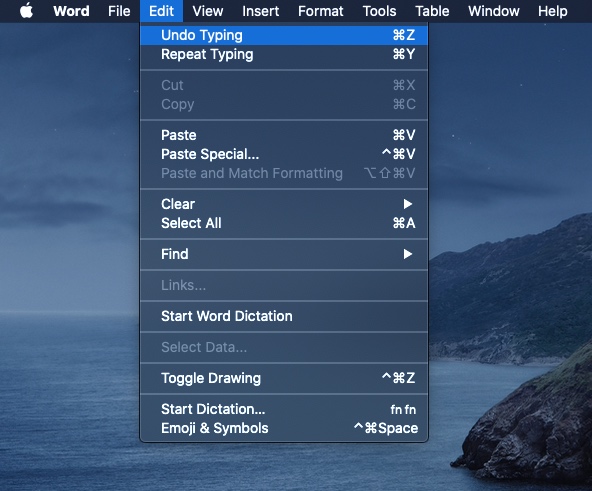 An image of Microsoft Word's toolbar. The edit menu category has been opened and the Undo Typing menu item has been selected. Alongside the menu items prompts to the user appears to show them that it's possible to activate this command by using keyboard shortcuts.