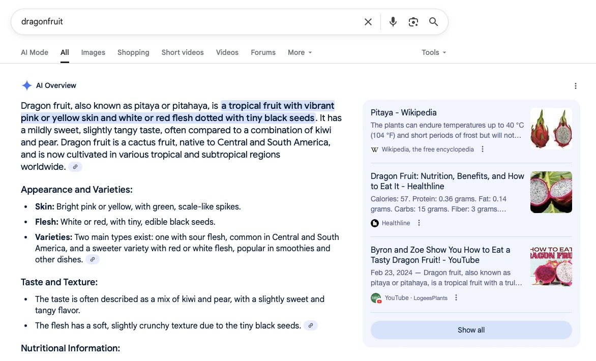 Google AI Overview Example