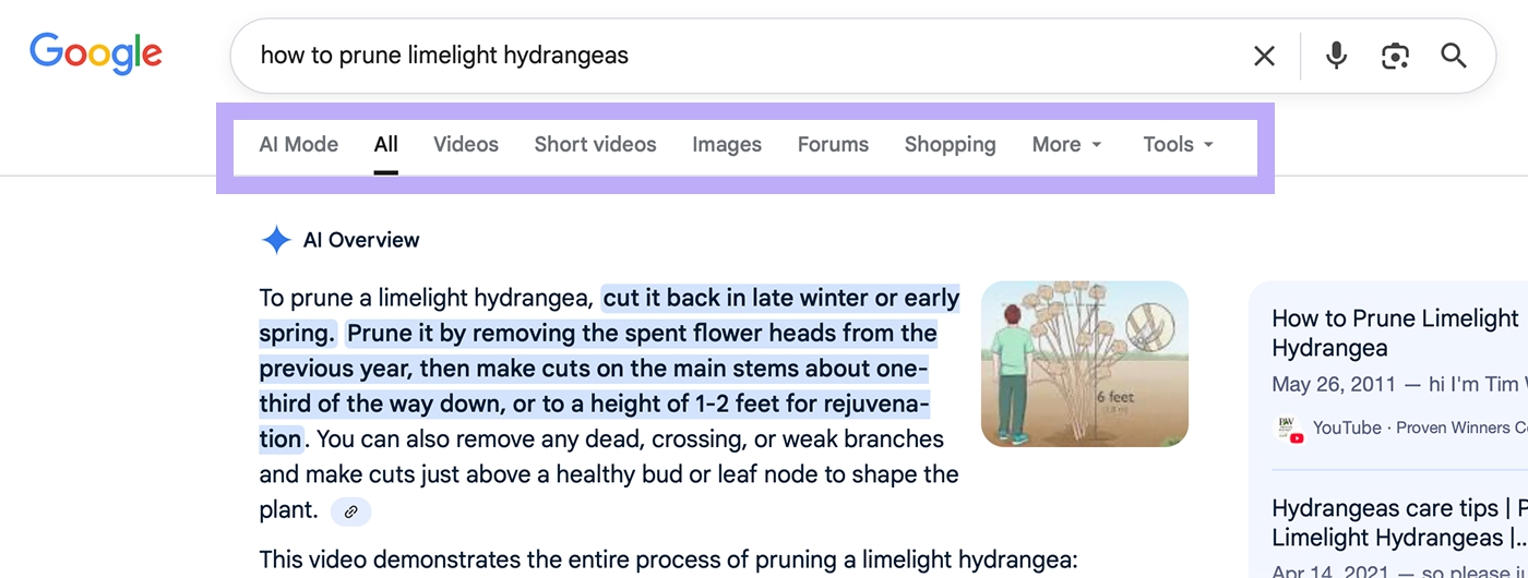 Google AI search interface demonstration